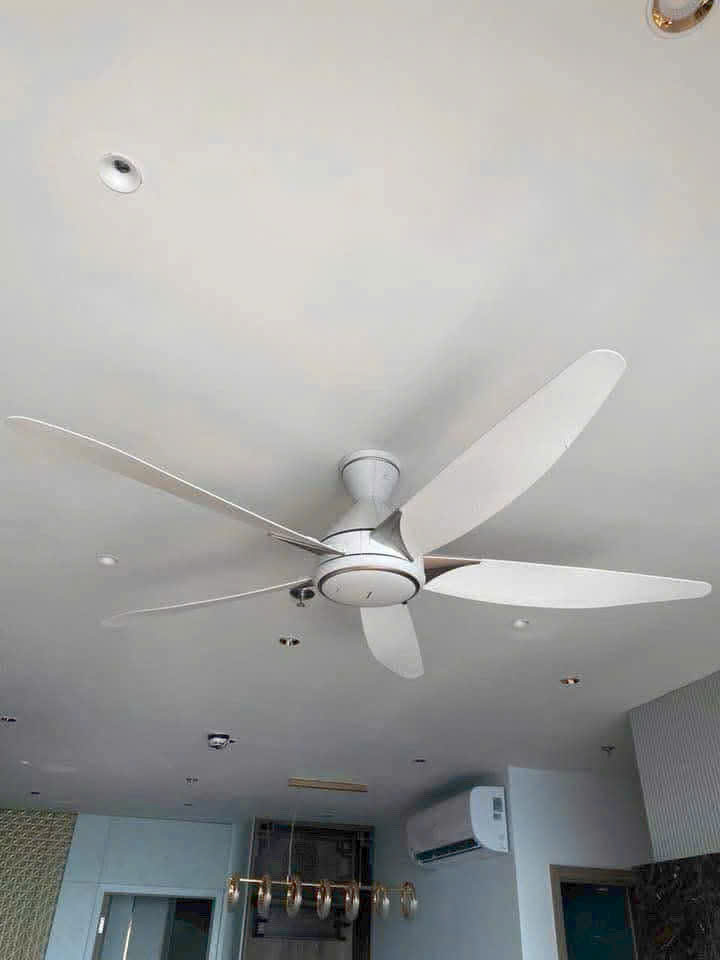 Quạt trần 5 cánh Panasonic F-60GDS