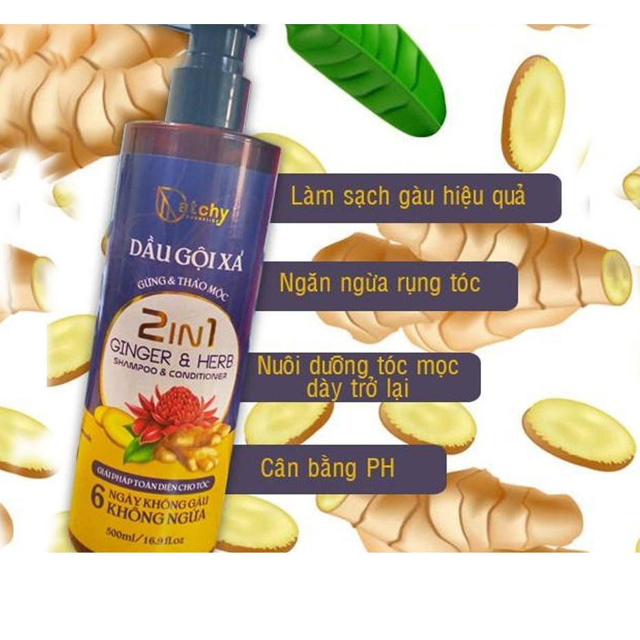 Dầu gội Xả Catchy Gừng Và Thảo Mộc 2in1 500ml