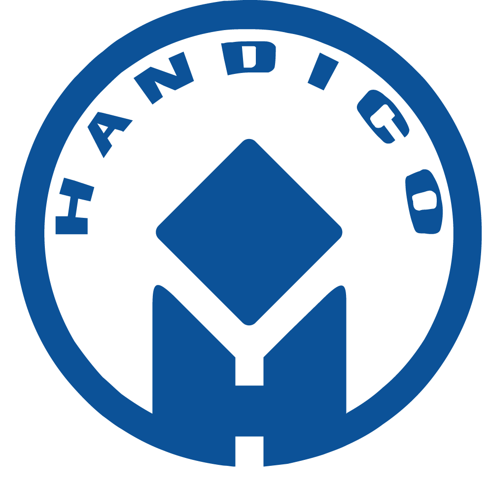Logo Handico
