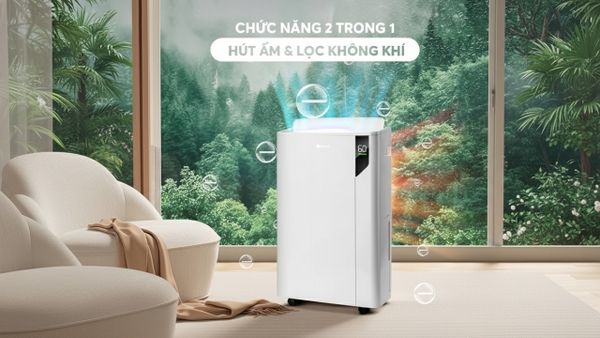 Máy Hút Ẩm Lọc Không Khí: Giải Pháp 2 Trong 1 Có Thực Sự Hiệu Quả?