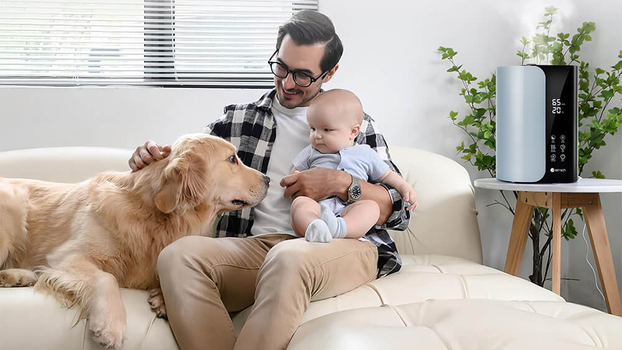Độ Ẩm Và Sức Khỏe: Độ Ẩm Lý Tưởng Cho Không Gian Sống