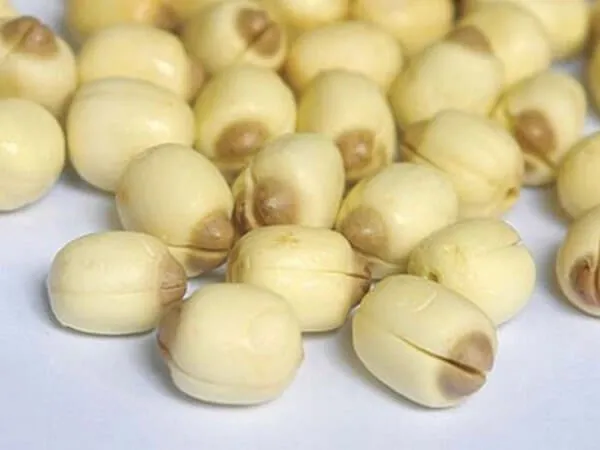 Nhãn lồng hạt sen thơm ngon tại nhà