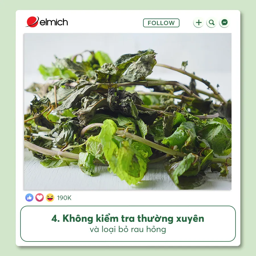 4. Không Kiểm Tra Thường Xuyên Và Loại Bỏ Rau Hỏng