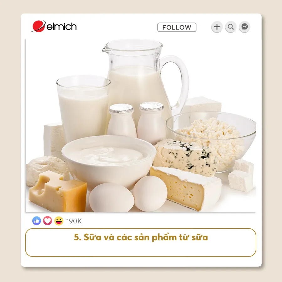 5. Sữa Và Các Sản Phẩm Từ Sữa