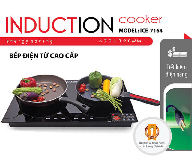 Bếp từ đôi Elmich