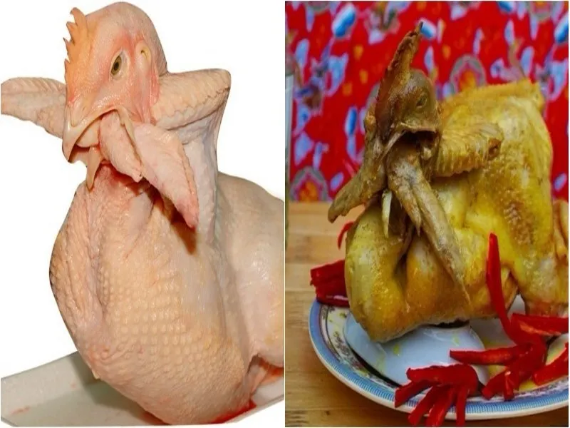 Cách tạo dáng gà chầu