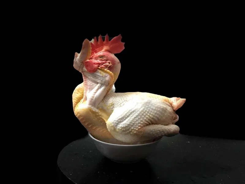 Cho gà vào bát tô để luộc giúp da không bị nứt
