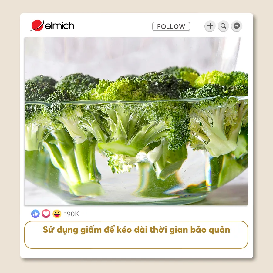 Đừng Ngại Copy