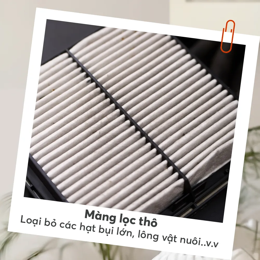 Giải Mã 2