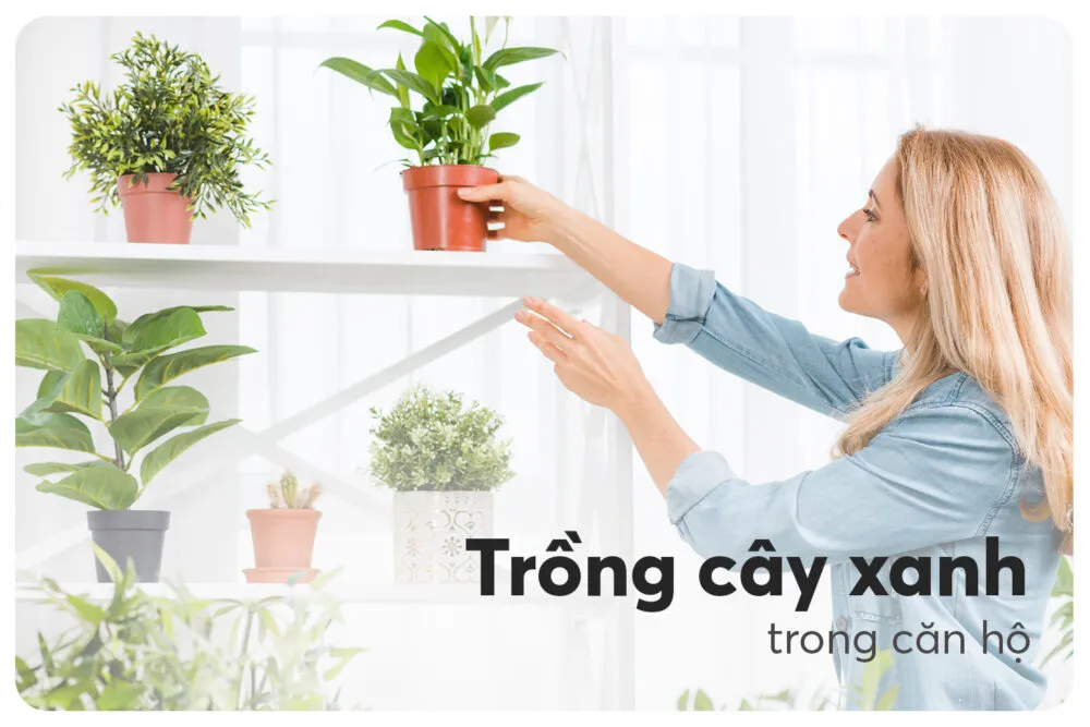 Lễ Tạ ơn Qua ẩm Thực 09