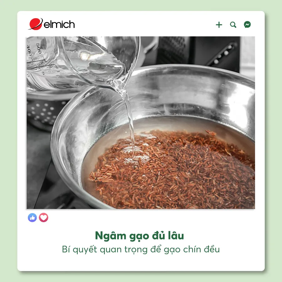 Ngâm Gạo đủ Lâu 