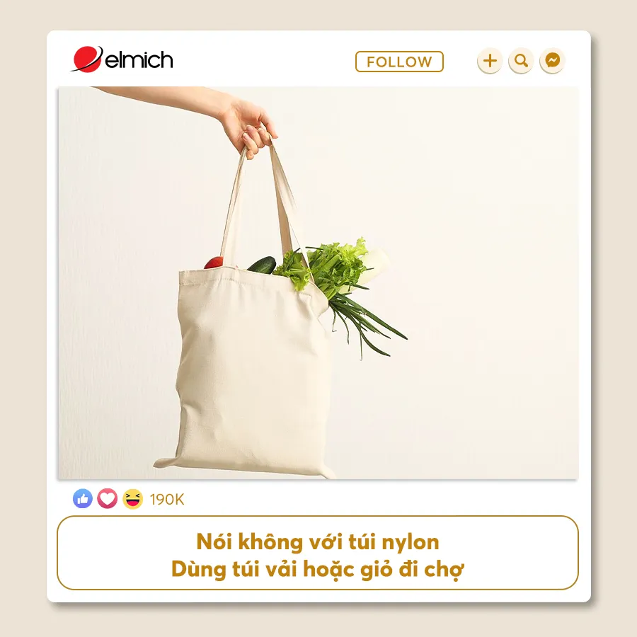 Nói Không Với Túi Nylondùng Túi Vải Hoặc Giỏ đi Chợ