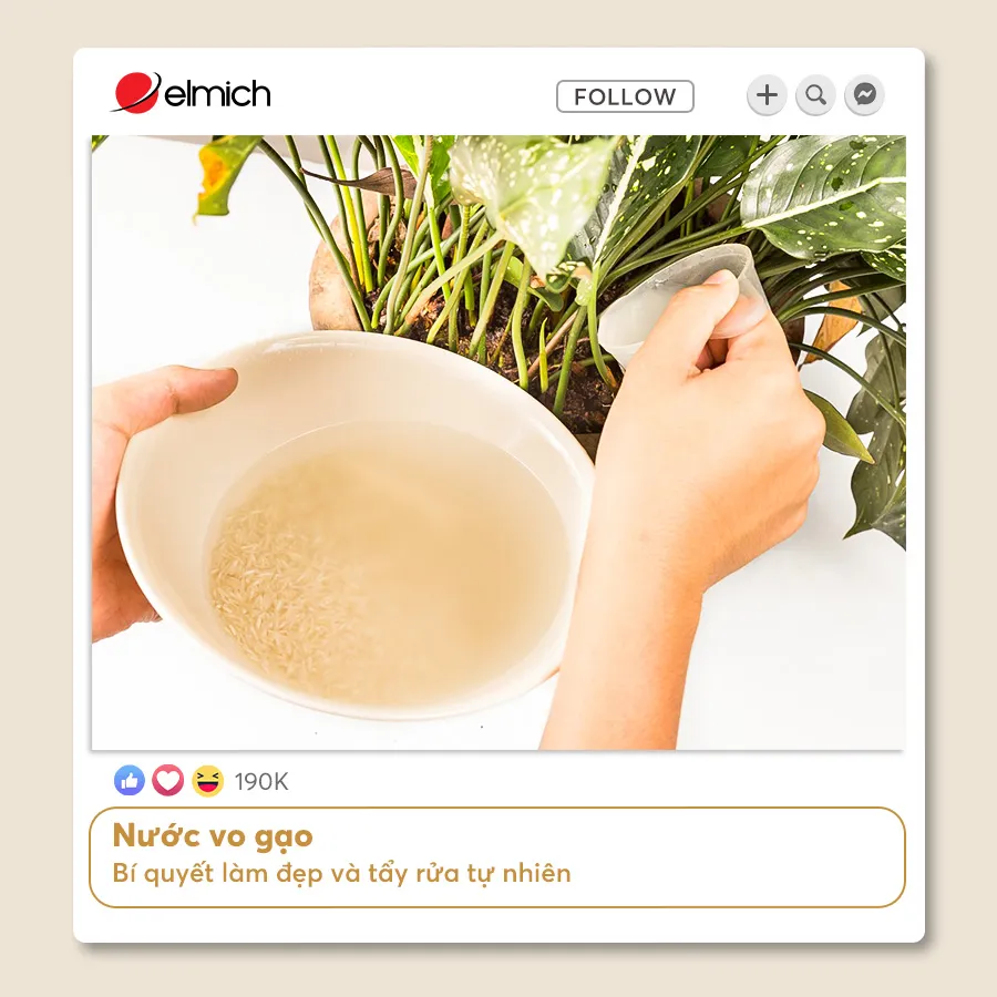 Nước Vo Gạo