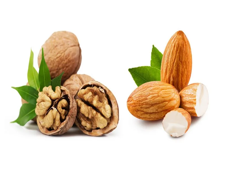 Hạt óc chó và hạnh nhân chứa nhiều vitamin, khoáng chất tốt