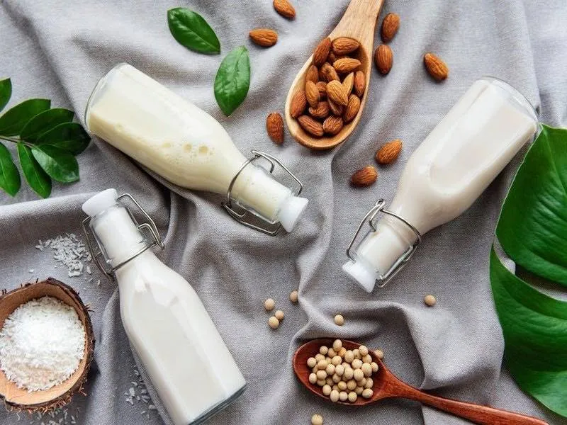 Sữa hạt có nguồn gốc từ thực vật giàu chất xơ hỗ trợ tiêu hóa tốt