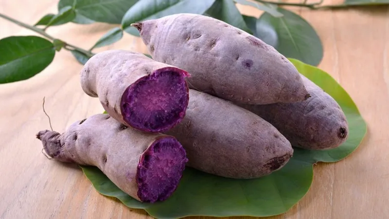 Cách chọn mua khoai lang tím
