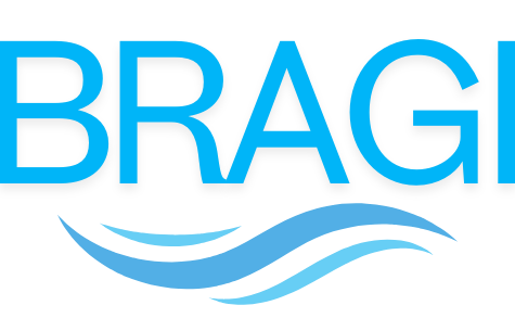 logo Bragi Việt Nam