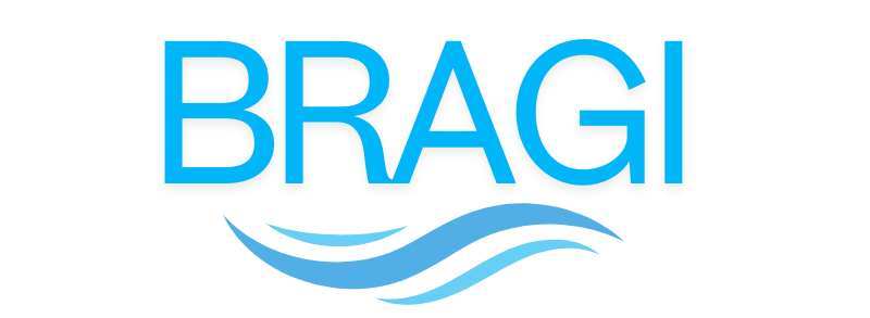 logo Bragi Việt Nam