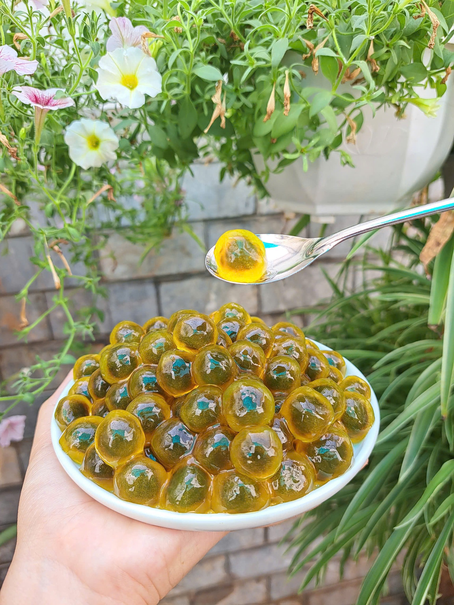 Trân châu ĐỘC NHÃN LONG Khổng Lồ Thượng Hạng Long Phú gói 1kg - Size 18li - Có vị ngọt sẵn