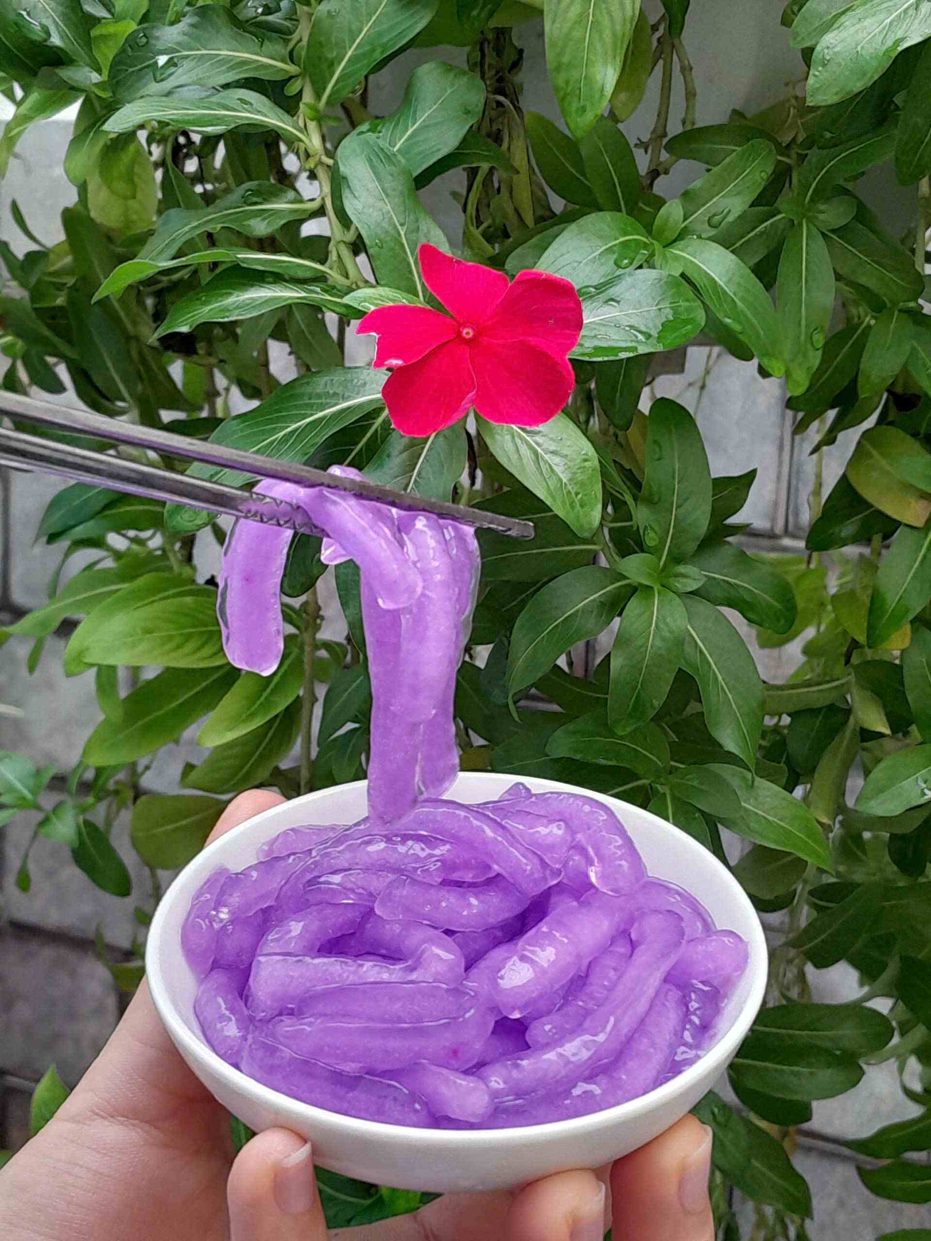 Trân châu Sợi Hương KHOAI MÔN Đặc Biệt Long Phú gói 1kg - Size Sợi Trung - Không có vị ngọt
