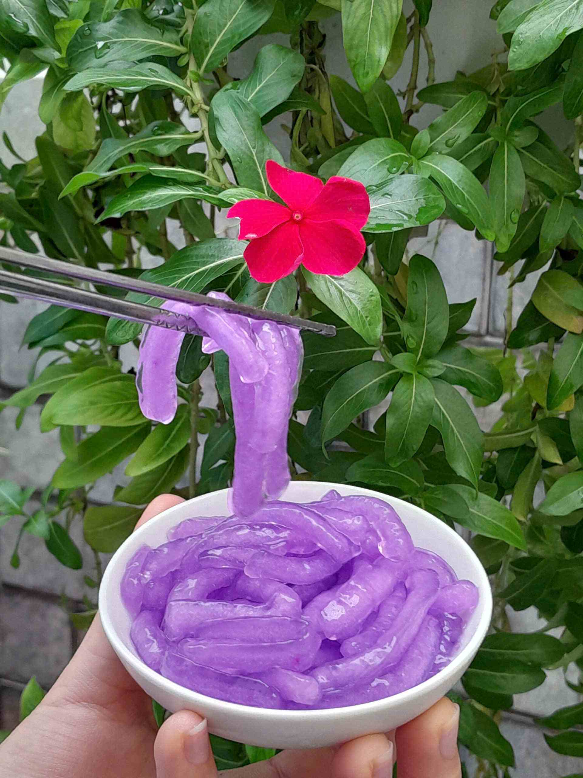 Trân châu Sợi Hương KHOAI MÔN Đặc Biệt Long Phú gói 1kg - Size Sợi Trung - Không có vị ngọt