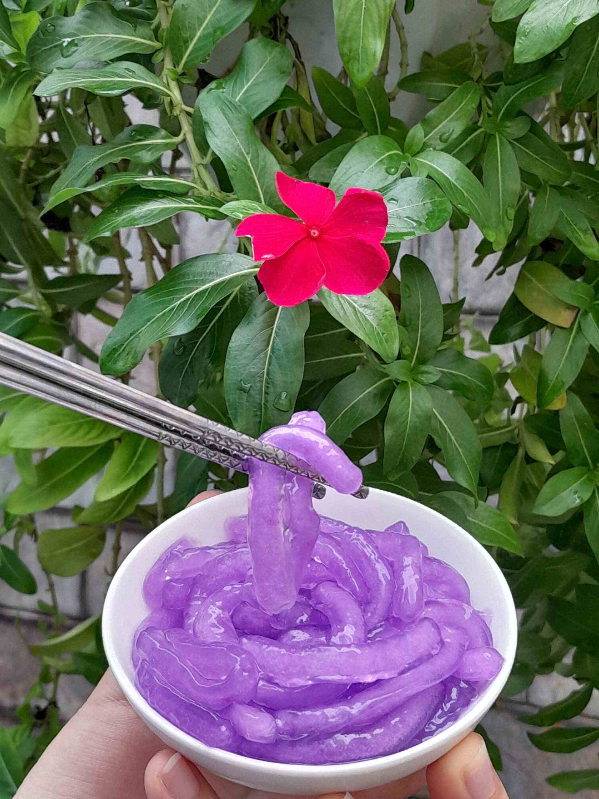 Trân châu Sợi Hương KHOAI MÔN Đặc Biệt Long Phú gói 1kg - Size Sợi Trung - Không có vị ngọt