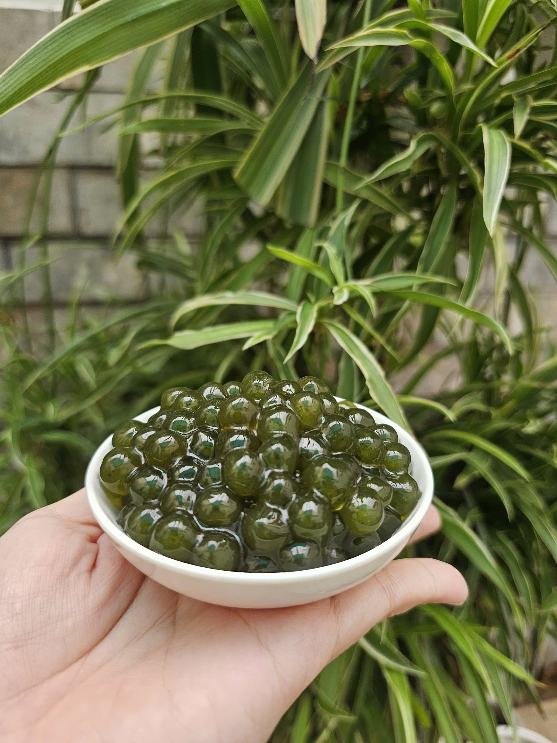 Trân châu Ô LONG Đặc Biệt Long Phú gói 1kg - Size Trung Truyền thống - Không có vị ngọt
