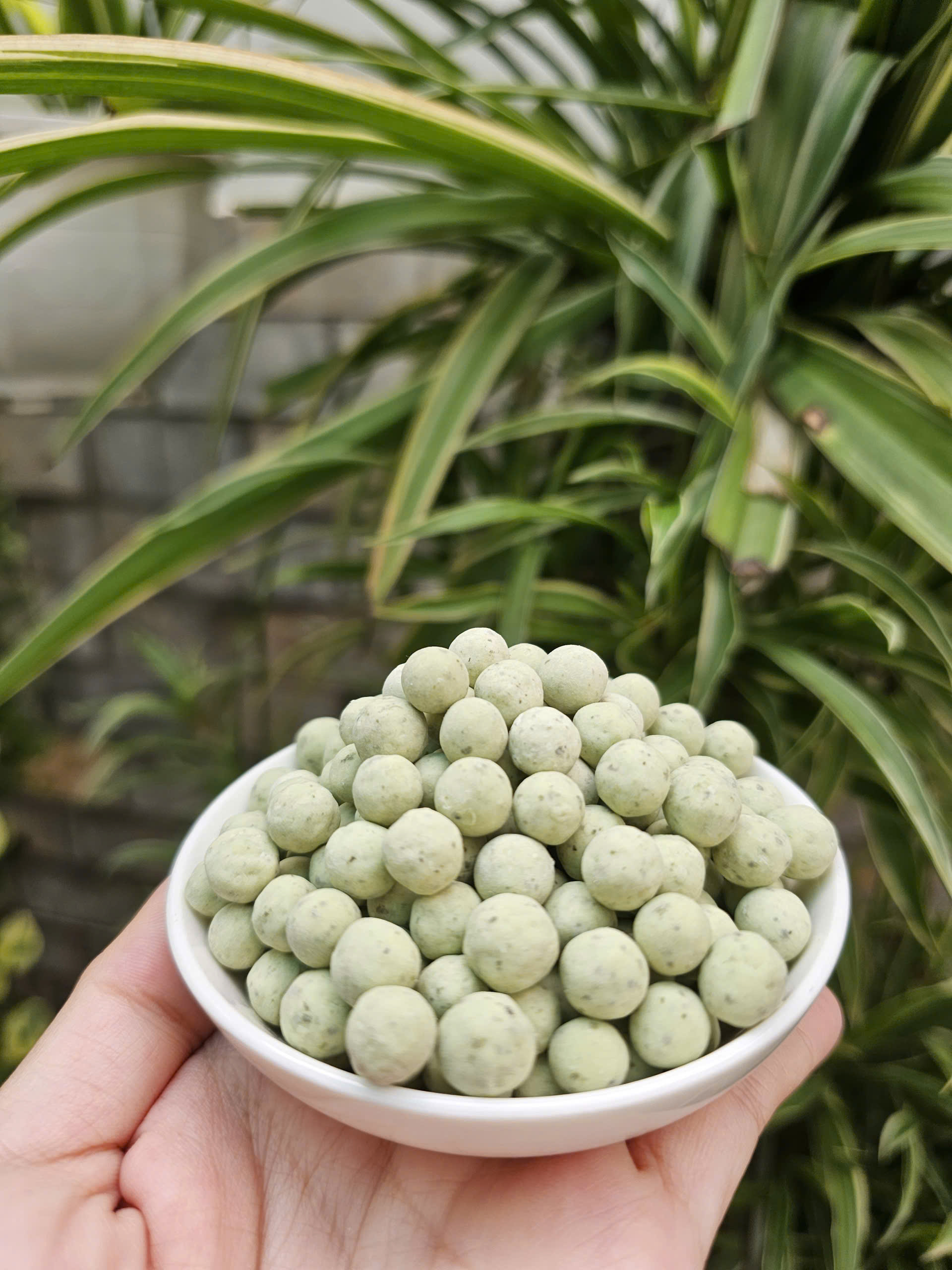 Trân châu Ô LONG Đặc Biệt Long Phú gói 1kg - Size Trung Truyền thống - Không có vị ngọt