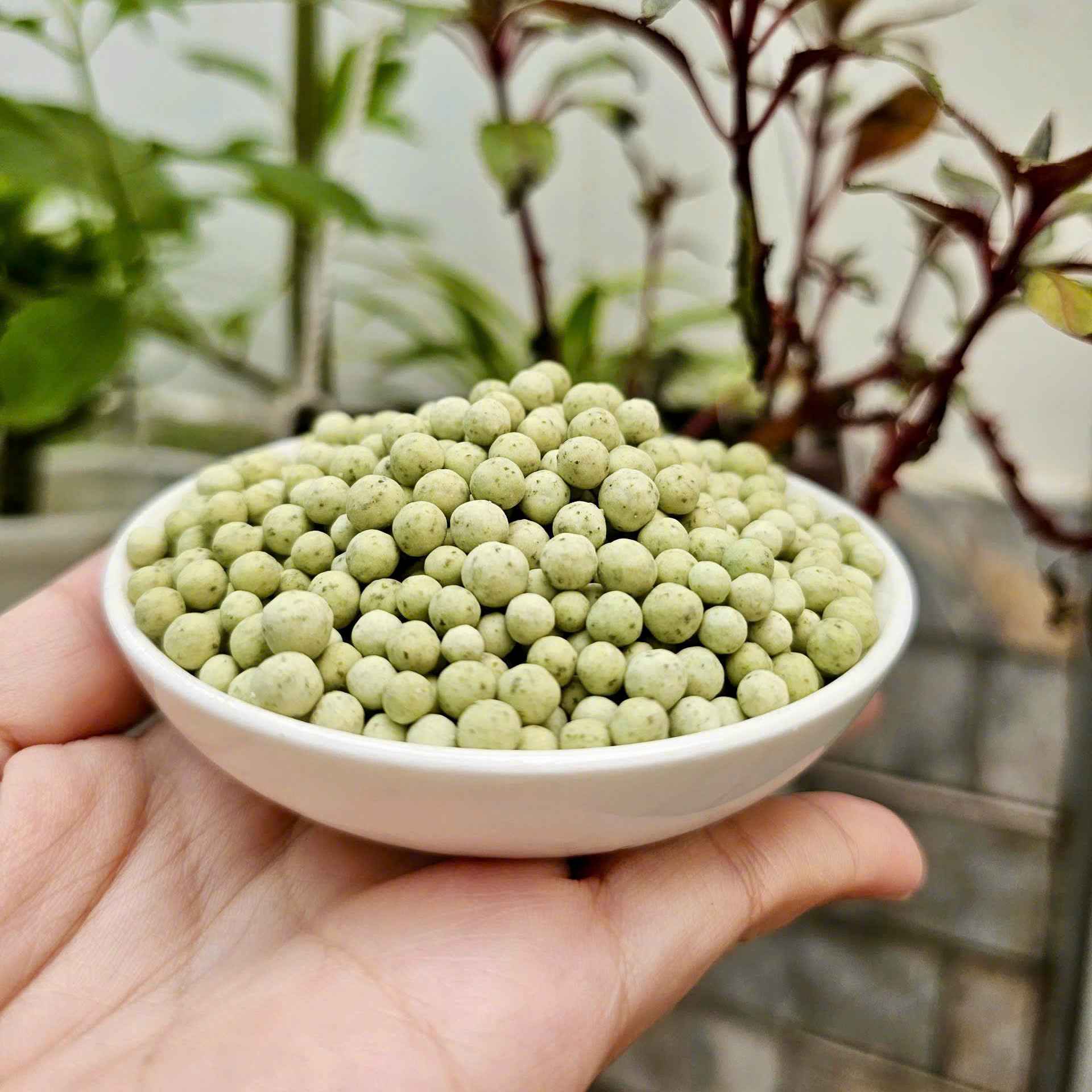 Trân châu Mini Ô LONG Đặc biệt Long Phú gói 1kg - Size mini (hạt tiêu) 1.2li - Không có vị ngọt