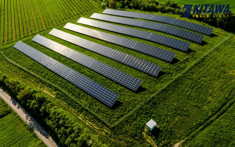 Solar Farm là gì? Trang trại điện mặt trời quy mô lớn