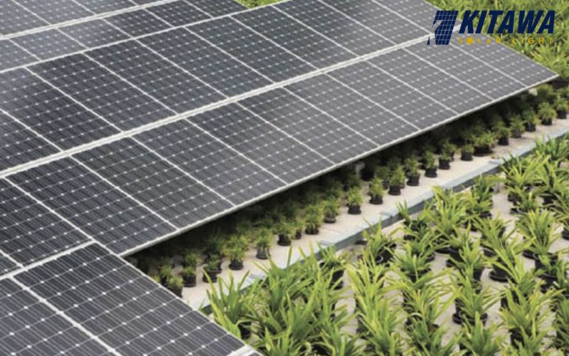 Điện mặt trời áp mái cho nông nghiệp là gì?