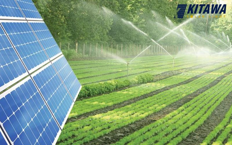 hệ thống tự tưới tiêu nông nghiệp