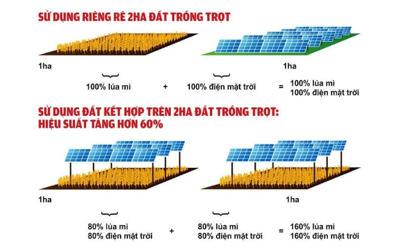 lắp điện mặt trời giúp tối ưu diện tích đất