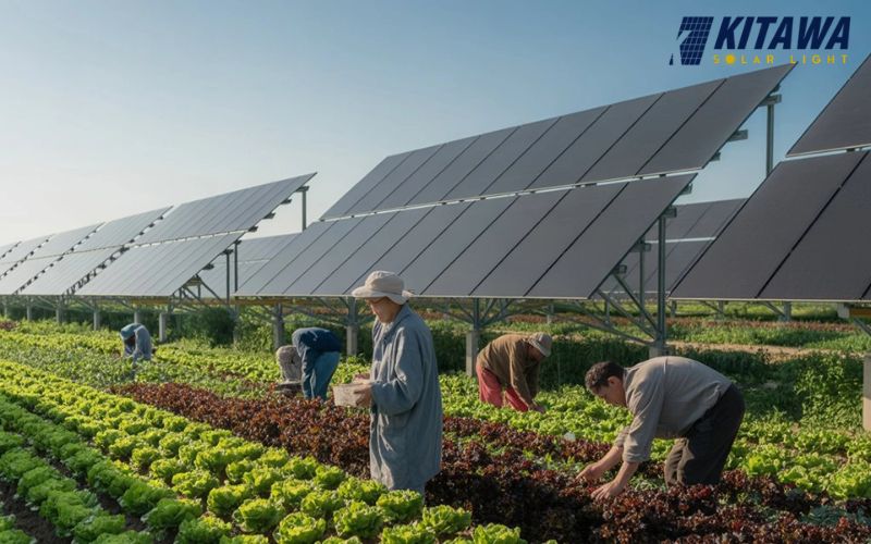 Quy mô của trang trại điện mặt trời