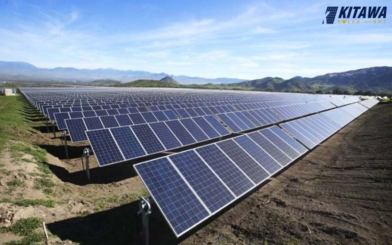 ưu điểm của tấm pin longi