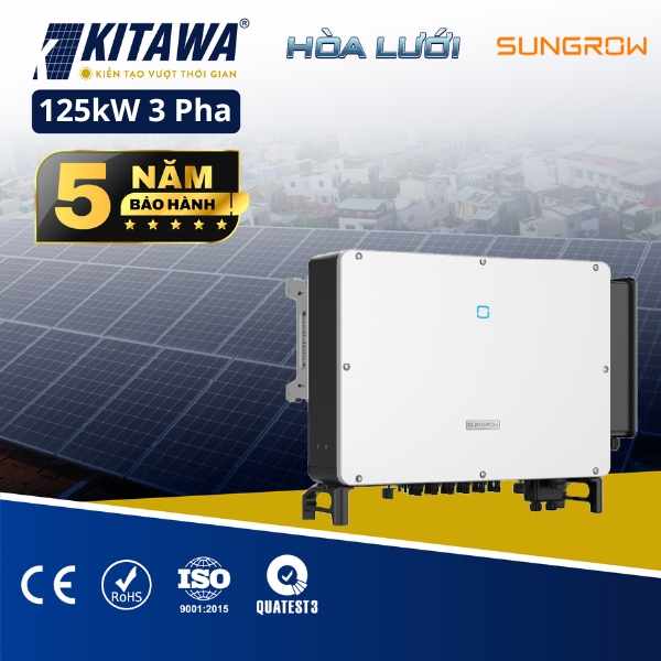 Inverter Hòa Lưới Sungrow 125kW 3 Pha - SG125CX-P2