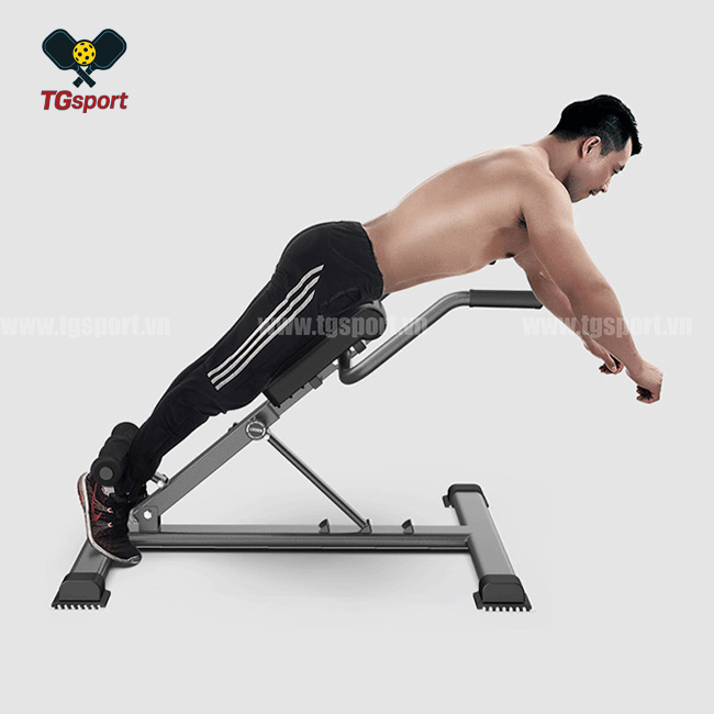 Ghế tập lưng bụng M-001