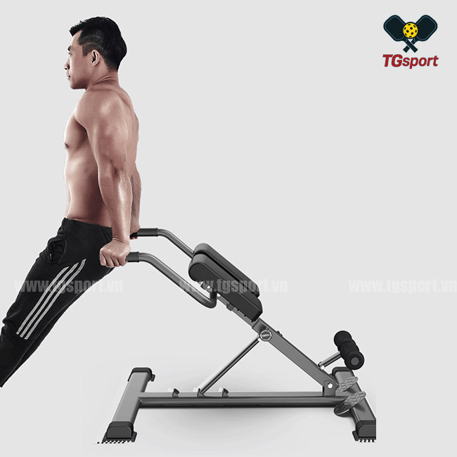 Ghế tập lưng bụng M-001