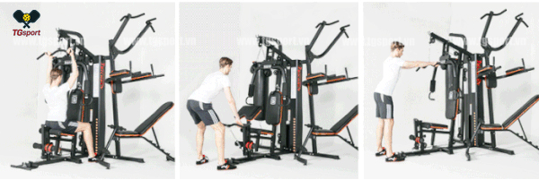 Giàn tạ đa năng HQ-808P 2023