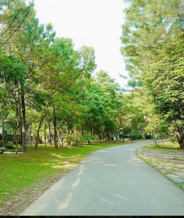 [FLAMINGO ĐẠI LẢI] CF11 BÁCH THANH VILLA – 3ROOMS