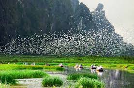 🏞️ NB7 [닌빈]: 호아르 또는 바이딘 사원 – 빅동 사원 – 퉁남