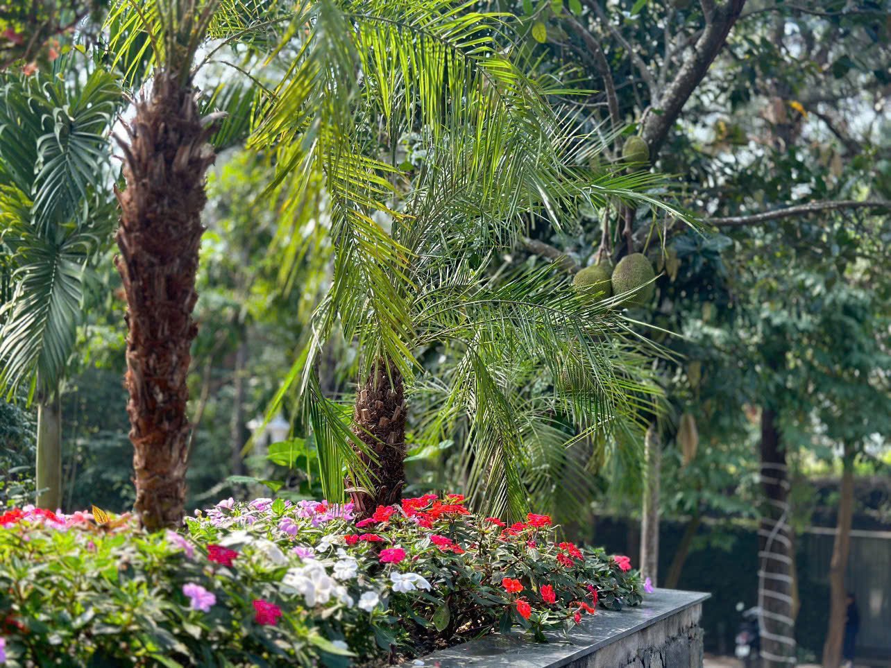 [FLAMINGO ĐẠI LẢI] CF11 BÁCH THANH VILLA – 3ROOMS
