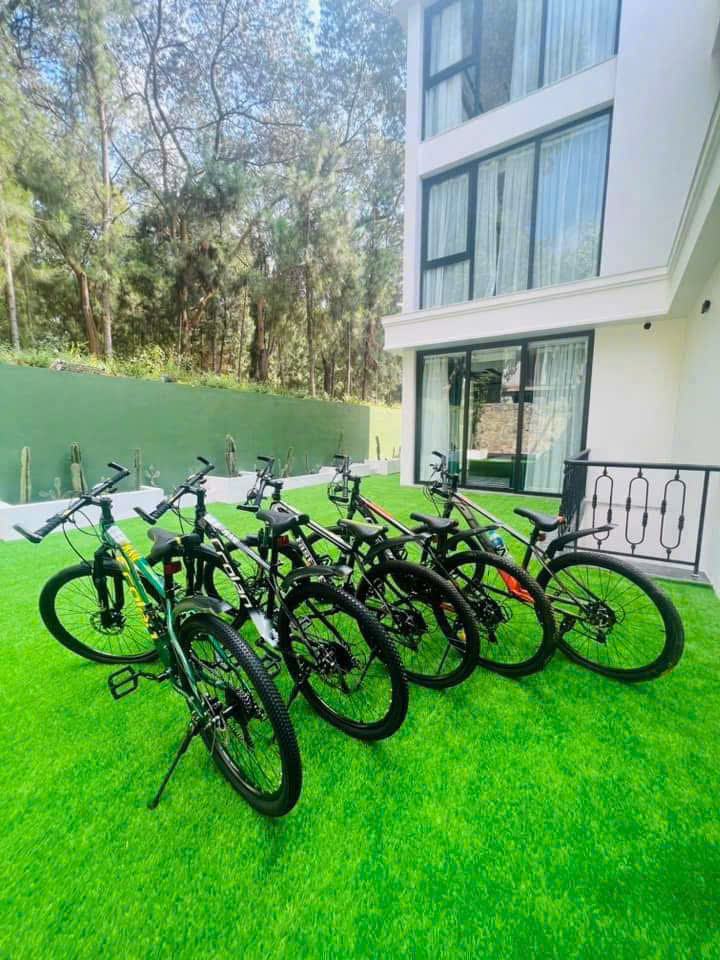 [FLAMINGO DAI LAI] VILLA TF1.51 – 7룸 VIP | 호수 전망 | MAISON INDOCHINE