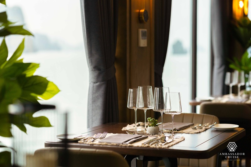 🌟Ambassador Day Cruise 🚢  하노이출발  (앰바사더 원데이 크루즈)