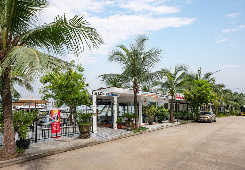 SONATA CRUISE 소나타 하롱베이 고급 크루즈 (리무진/ 버스- 입장권- 가이드- 중식 포함)