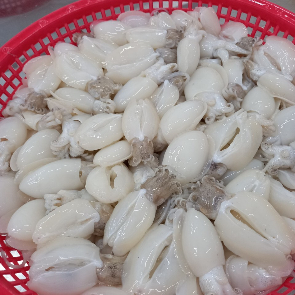 Mực Nút Baby Làm Sạch - Bịch 1kg net 8