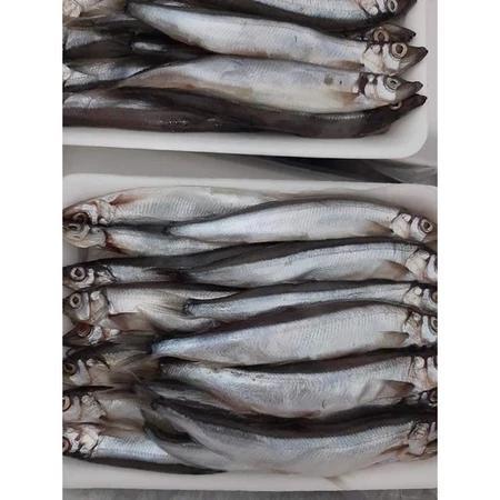 Cá trứng Nauy ăn vỉ - 500g