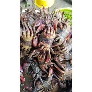 Ba khía nhà làm sẵn hủ - 500gr