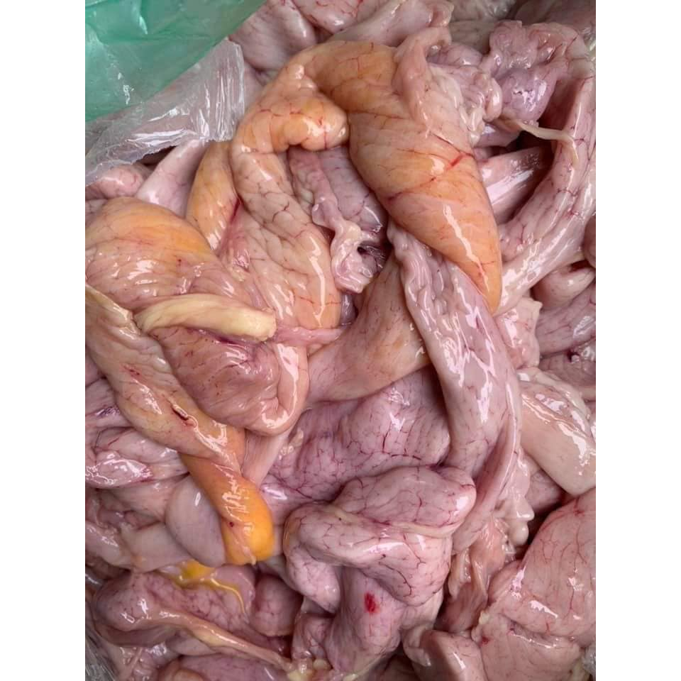 Tràng Gà/Dồi Trường Gà - 1kg