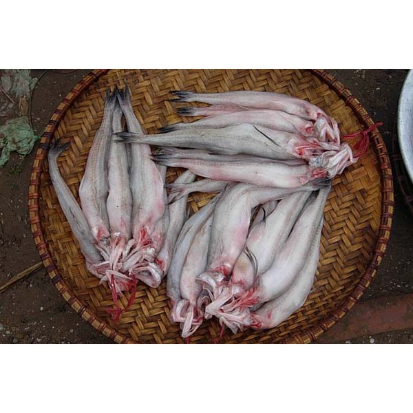 Cá Khoai Làm Sạch Đủ - 1 Kg